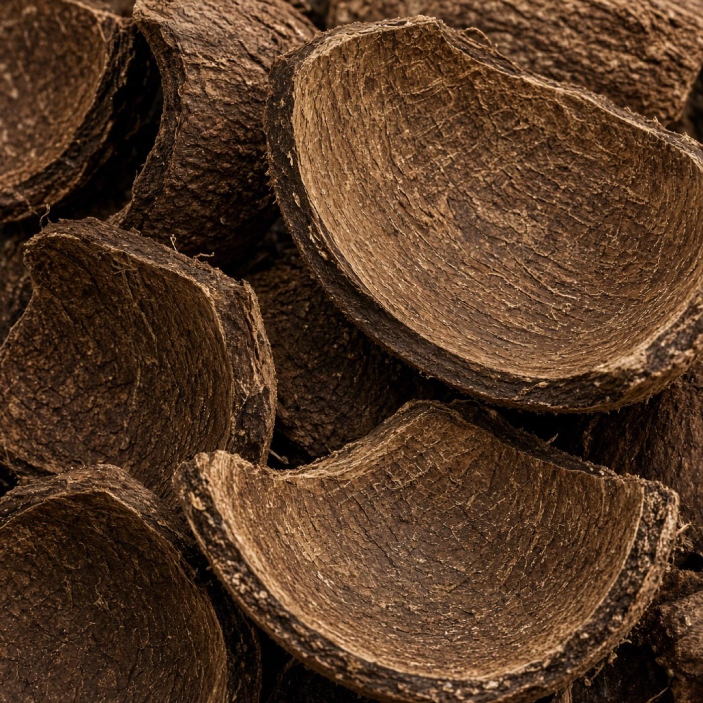 Coconut Shell